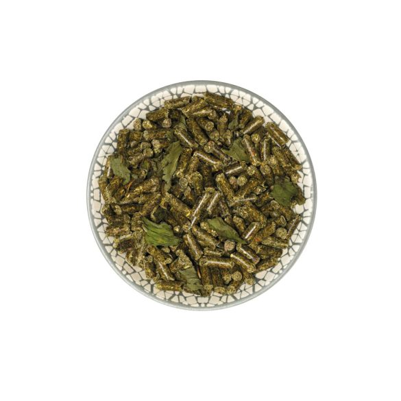 GuineaPigDream BASIC 1,5 kg