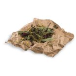 BOTANICALS MID MIX
Mix with hibiscus blossoms & parsley stems 150 g
