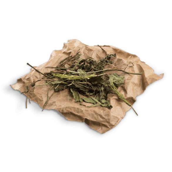 »all nature« BOTANICALS Mix with horsetail & peppermint leaves 120g